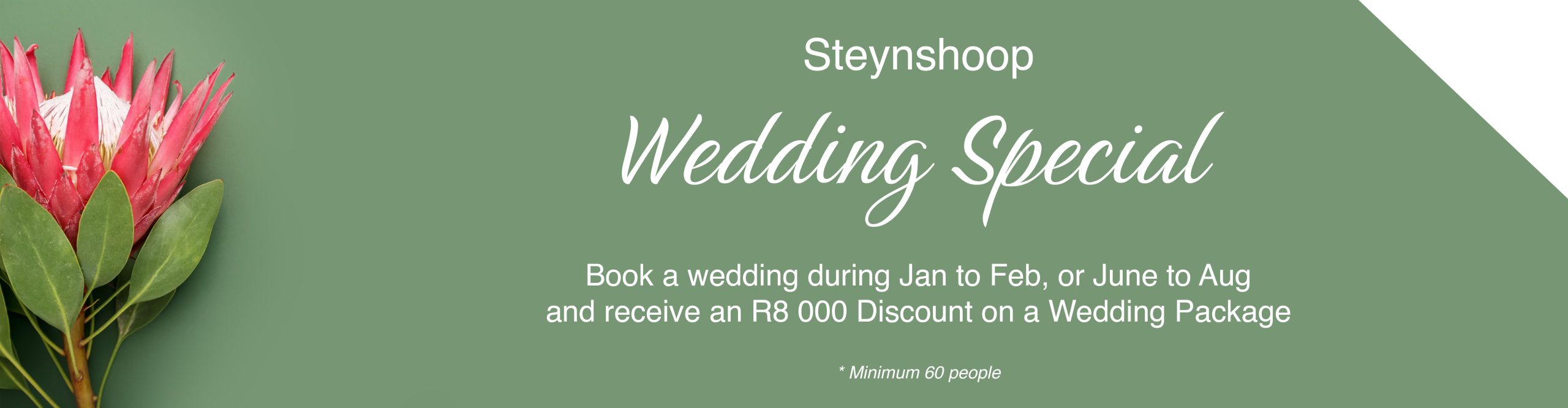 wedding special banner 01 scaled